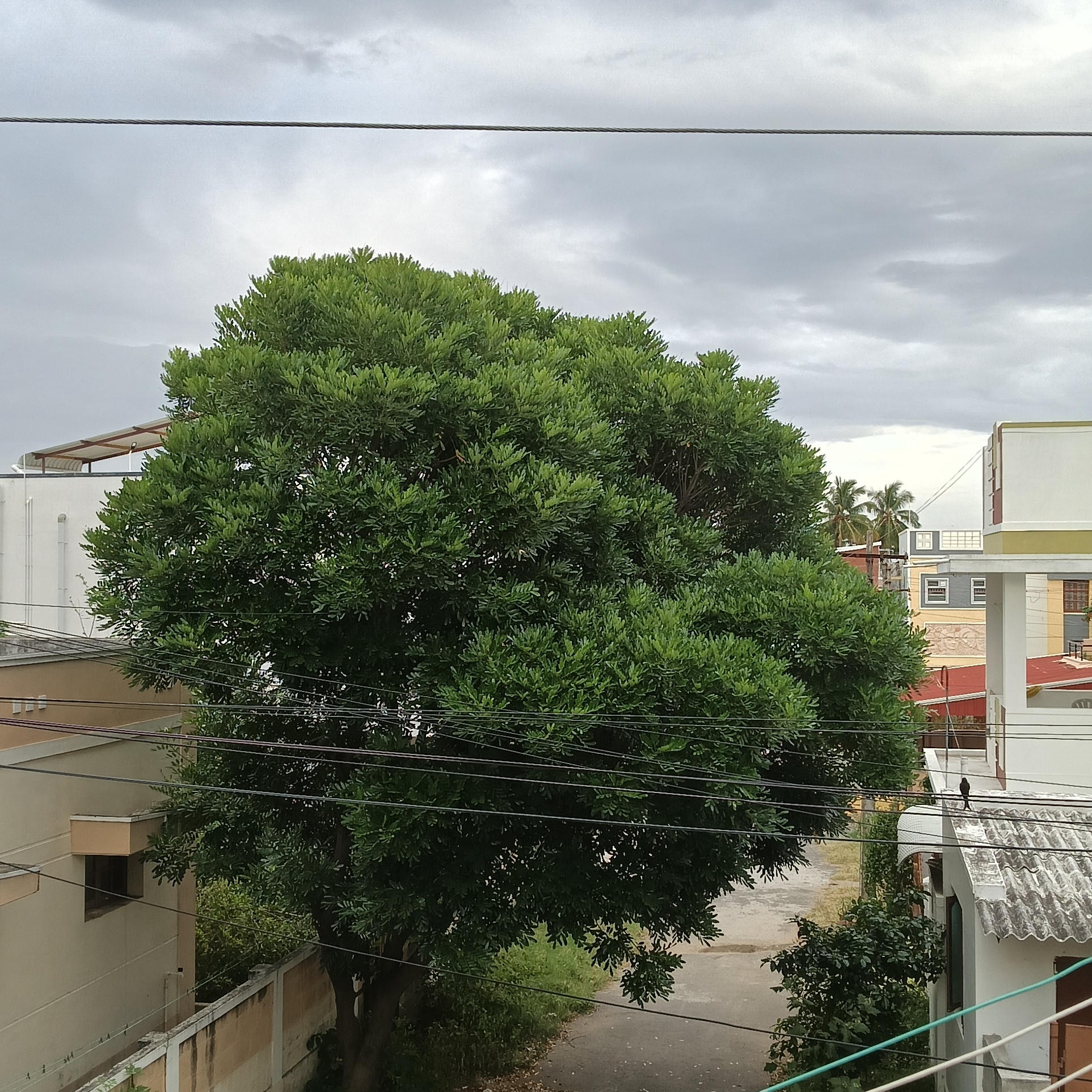 Annapoorna 
