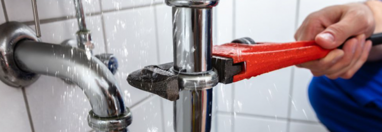 Pelican Plumbing