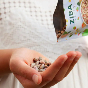 ZIBA FOODS