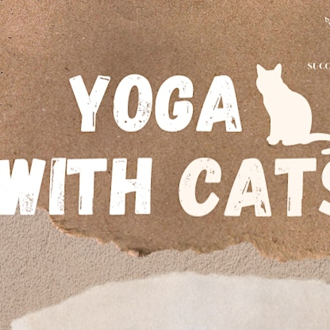 Gentle Yoga with Adorable Cats