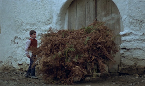 Joan Copjec, “The Cinema of Abbas Kiarostami: A Rope Trick”
