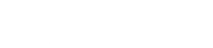 The MORE Real Estate Group