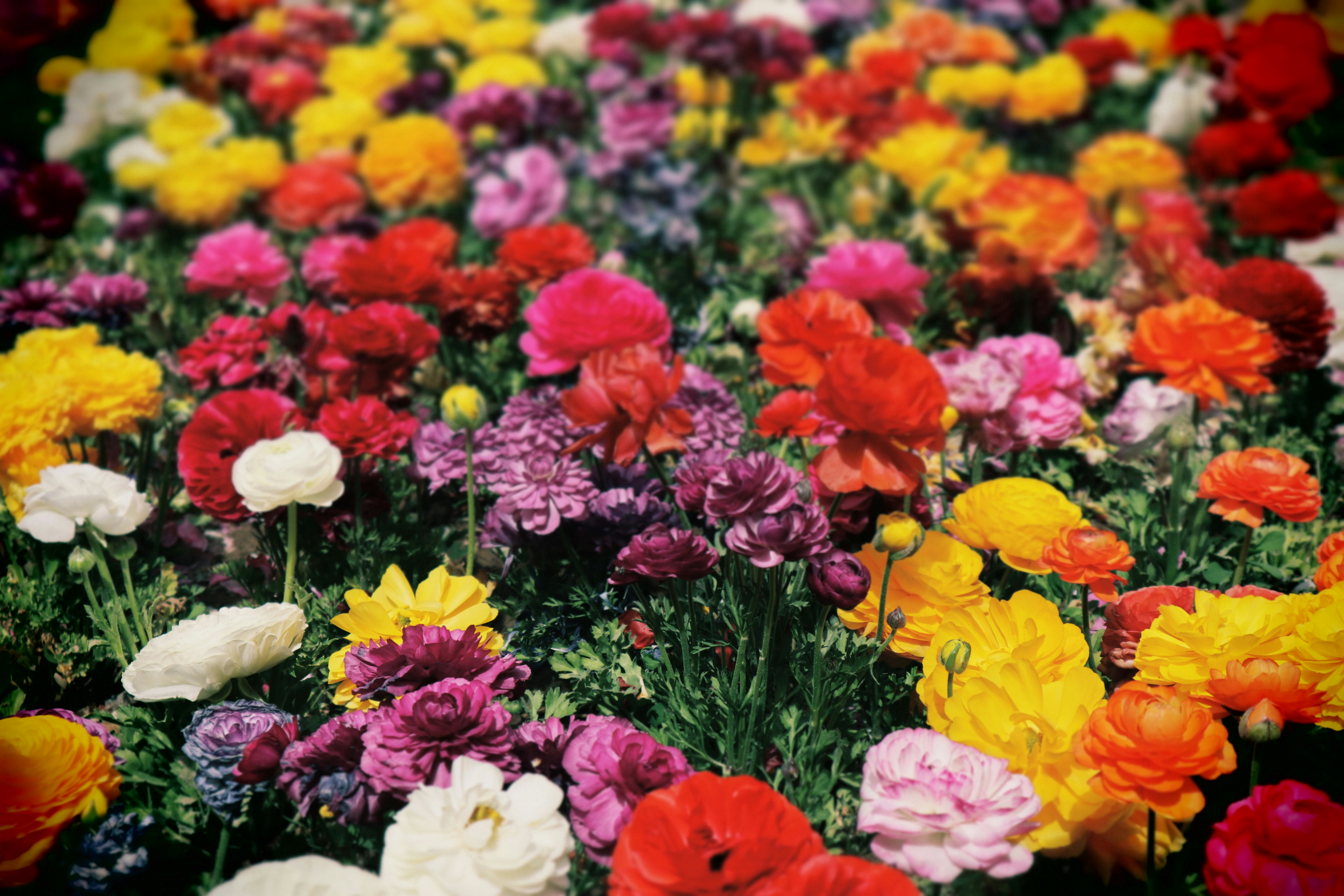 Blog Header
