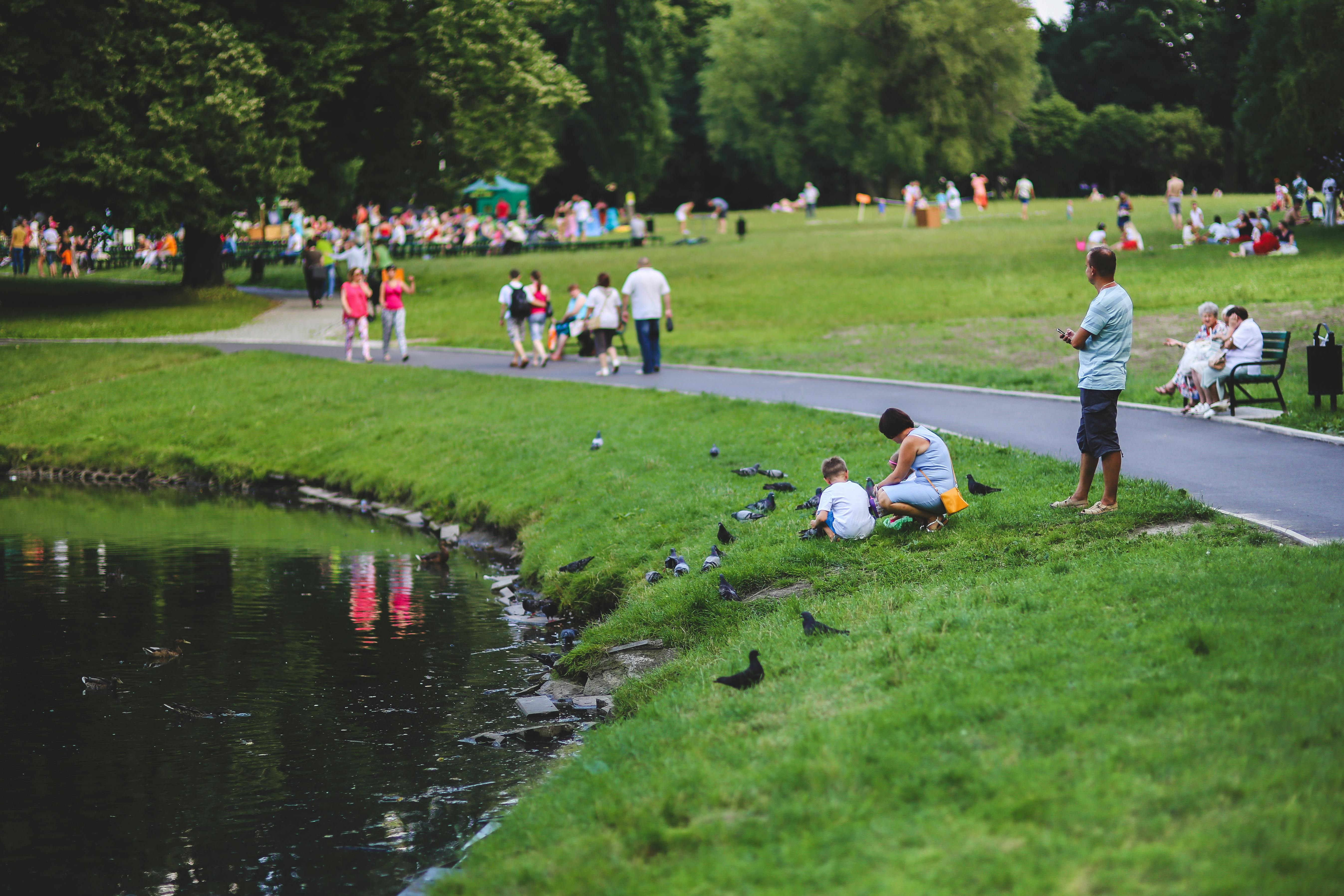 Blog Header