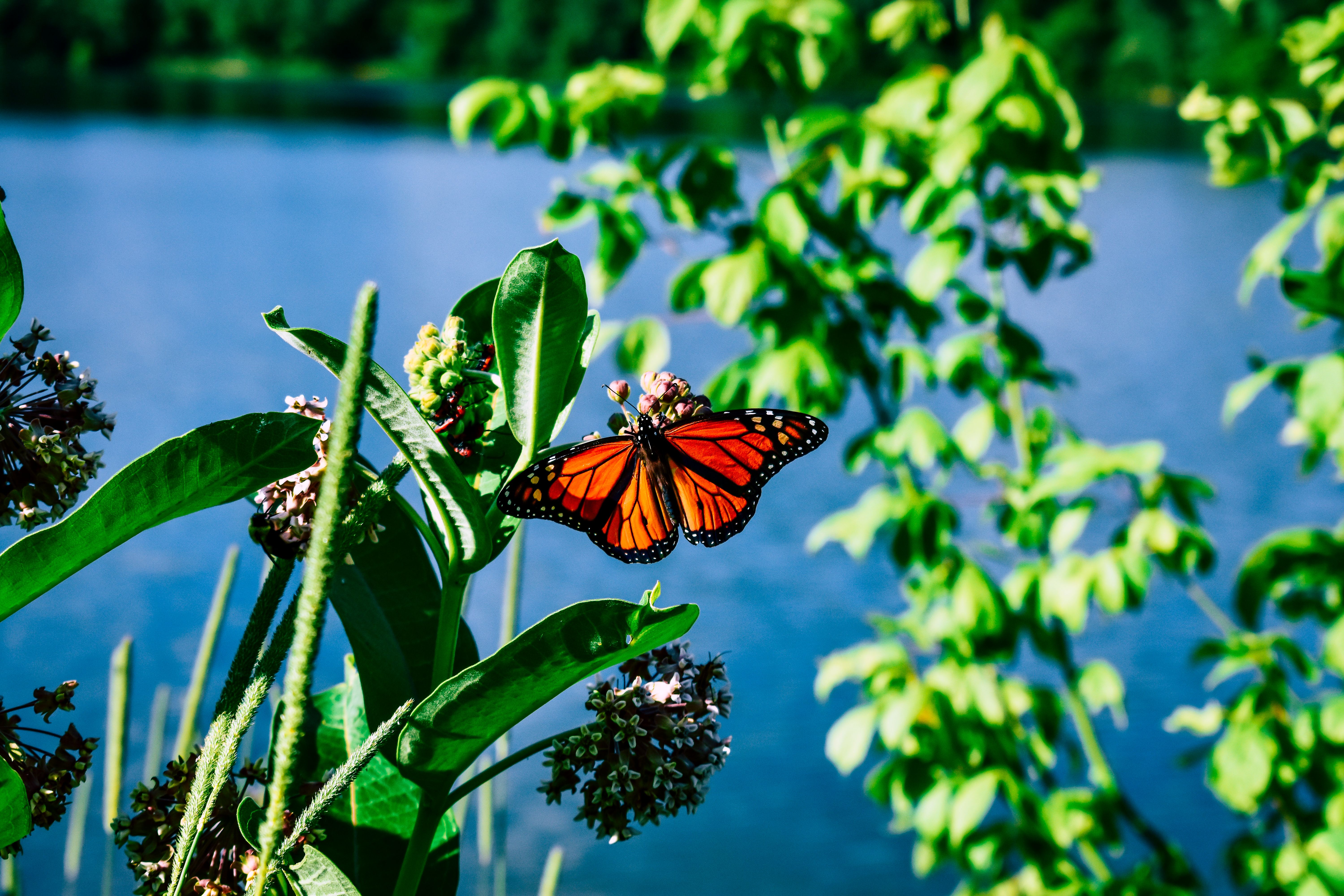 Blog Header