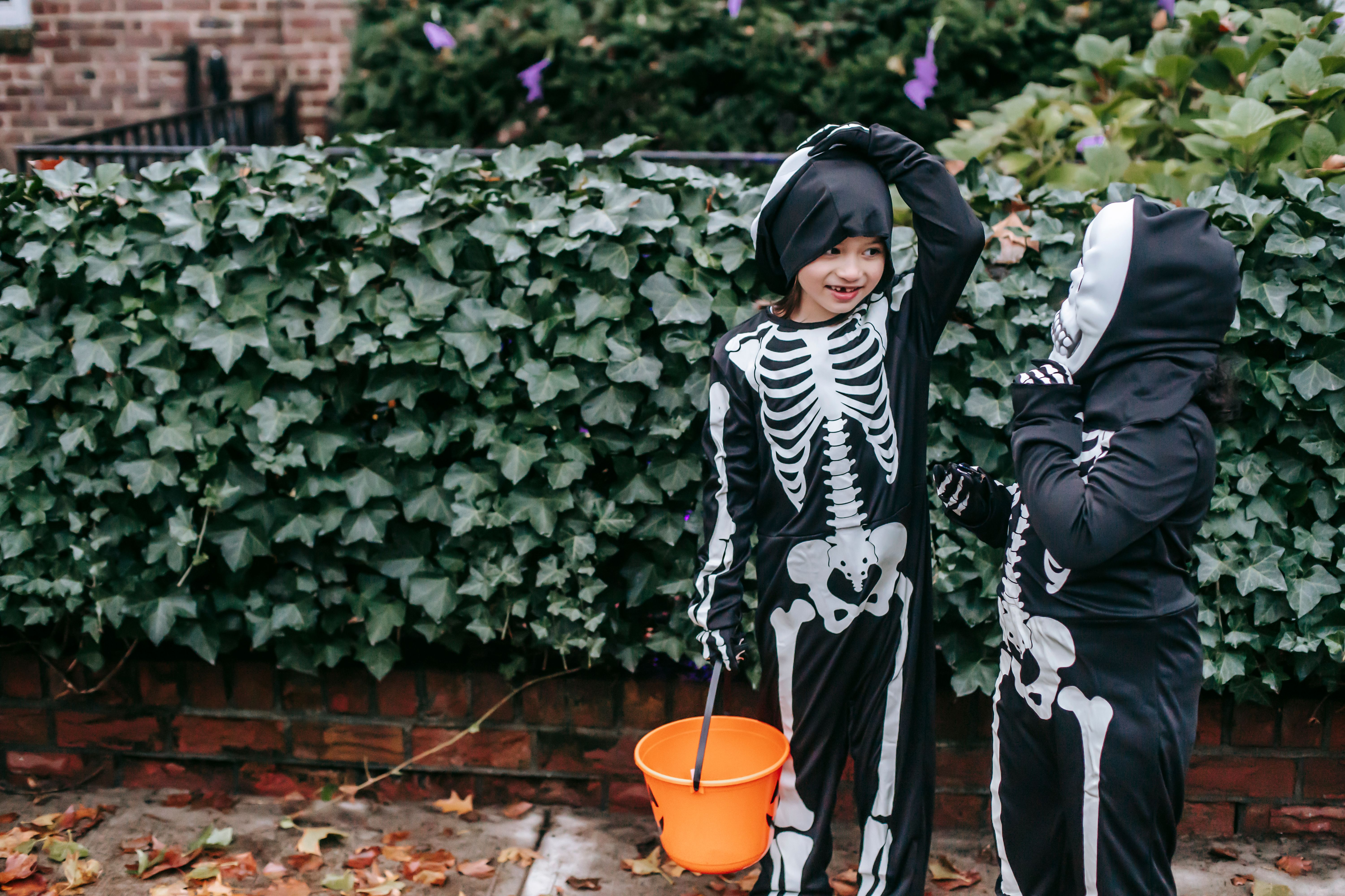Blog Header