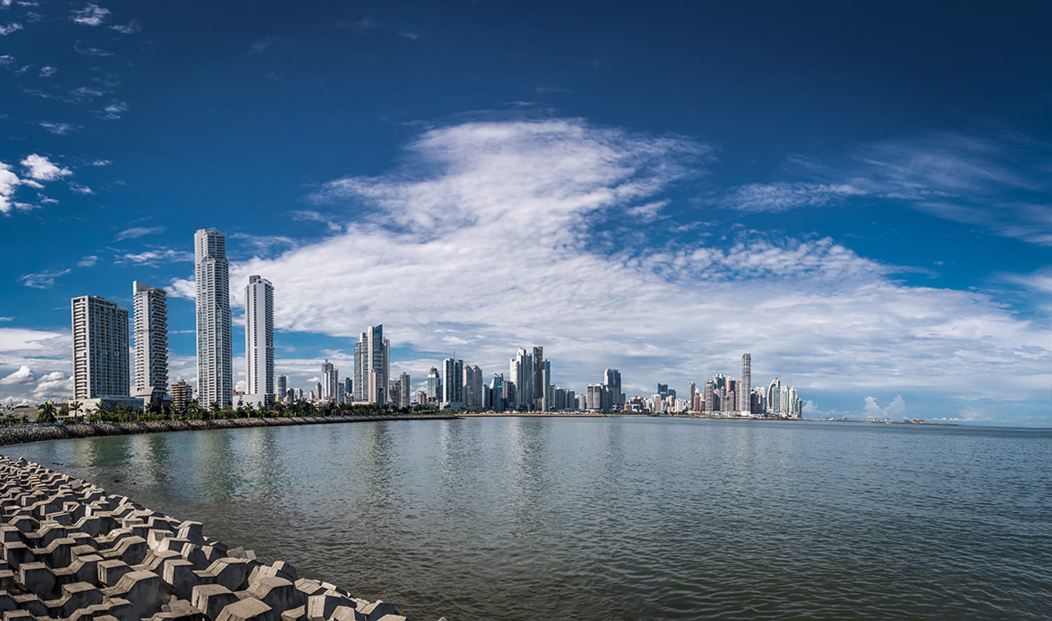 Panamanian Community Header