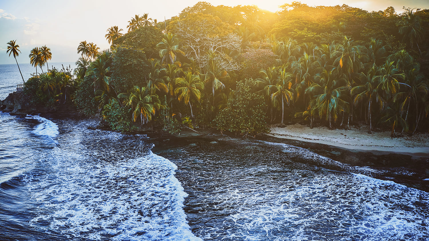 Costa Rican Community Header